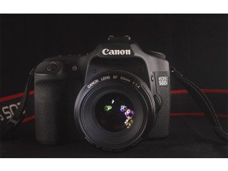 Canon 50D Camera