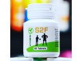 s2f-supplement-small-0