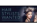 salon-jobs-vacancy-for-a-hairdresser-beautician-small-0