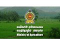 need-a-job-for-a-agriculture-graduate-girl-from-gampaha-colombo-area-offered-small-0