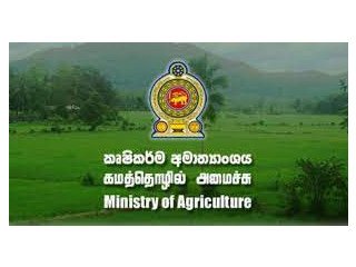 Need A Job For A Agriculture Graduate Girl From Gampaha/ Colombo Area - Offered