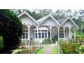 house-for-sale-in-nuwara-eliya-for-sale-small-0