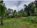 coconut-land-for-sale-small-0