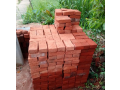 roof-tile-roofing-tile-small-0
