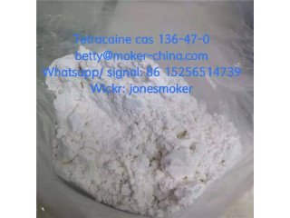 High quality tetracaine cas 136-47-0