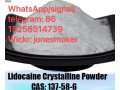 top-supplier-lidocaine-cas-137-58-6-small-1