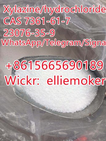 buy-xylazinexylazine-hydrochloride-cas-23076-35-97361-61-7-big-3