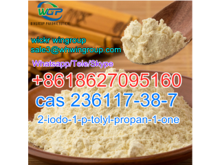 High Quality CAS 236117-38-7 2-Iodo-1-P-Tolyl-Propan-1-One WhatsApp+8618627095160
