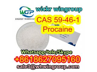 Benzocaine/Procaine Hydrochloride CAS 51-05-8/Procaine CAS 59-46-1 suppliers from China manufacture Whatsapp+8618627095160