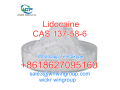 lidocaine-powder-lidocaine-base-lidocaine-cas-137-58-6-whatsapp8618627095160-small-9
