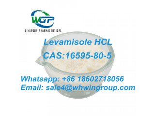 Top Quality  Pharmaceutical Intermediate CAS: 16595-80-5 Levamisole Hydrochloride From China Factory