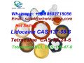 tetracaine-hcl-cas-136-47-0-with-high-quality-and-995-purity-tetracaine-hcl-small-3