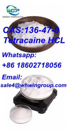 tetracaine-hcl-cas-136-47-0-with-high-quality-and-995-purity-tetracaine-hcl-big-2