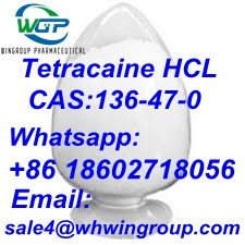 tetracaine-hcl-cas-136-47-0-with-high-quality-and-995-purity-tetracaine-hcl-big-1