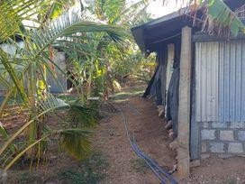 40-perches-land-for-lease-trincomalee-big-0