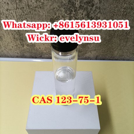 cas-123-75-1-pyrrolidine-wickrevelynsu-big-0