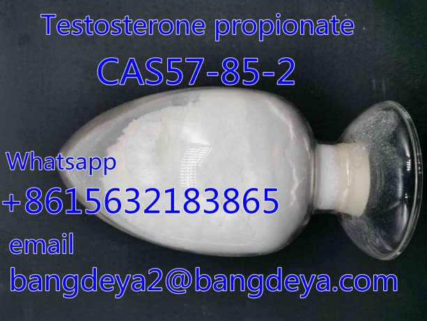 selling-high-quality-testosterone-propionate-cas57-85-2-big-0