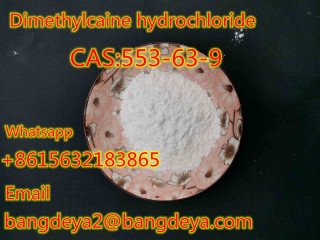 Selling high quality Dimethylcaine hydrochloride CAS553-63-9