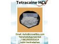 hot-sale-tetracaine-hcl-powder-cas-136-47-0-small-0