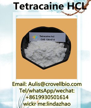 hot-sale-tetracaine-hcl-powder-cas-136-47-0-big-0