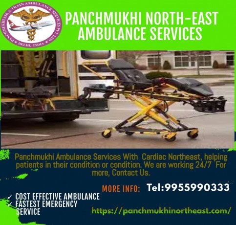icu-ambulance-service-in-senapati-by-panchmukhi-north-east-big-0