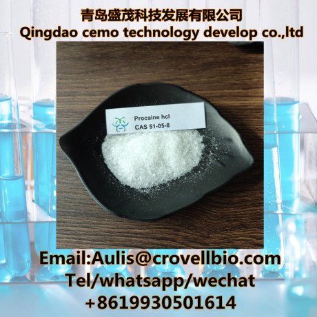 procaine-hcl-crystalline-powder-cas-51-05-8-from-qingdao-cemo-big-0