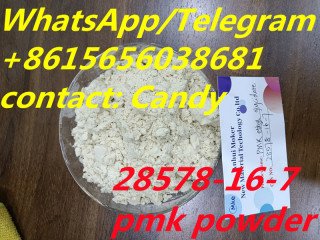 Buy New Pmk Oil PMK ethyl glycidate Powder CAS 28578-16-7