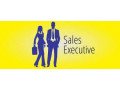 field-sales-executives-small-0