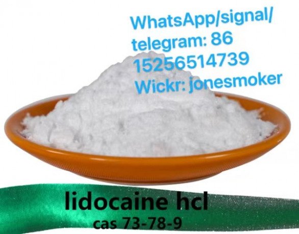 top-supplier-lidocaine-hcl-cas-73-78-9-big-0