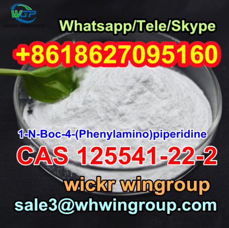 cas-no-125541-22-2-the-best-price-of-1-boc-4-phenylamino-piperidine-125541-22-2-whatsapp8618627095160-big-1