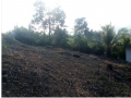 10-perches-residential-bare-land-for-sale-small-0
