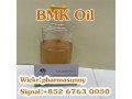 where-to-find-cas-20320-59-6-bmk-oil-liquid-wickr-pharmasunny-small-2