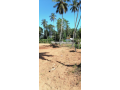 valuable-land-for-immediate-sale-in-balapitiya-small-0