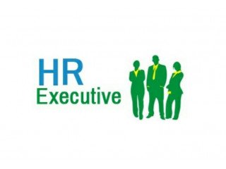 HR executive