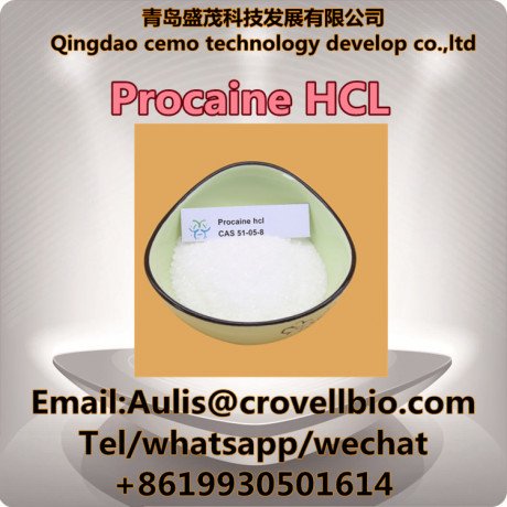 procaine-hydrochloride-supplier-distributor-cas-51-05-8-big-1